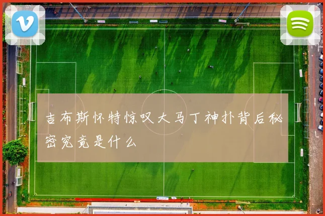 吉布斯怀特惊叹大马丁神扑背后秘密究竟是什么