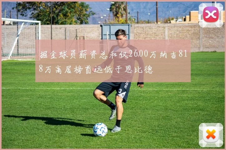 掘金球员薪资总和仅2600万纳吉818万高居榜首远低于恩比德
